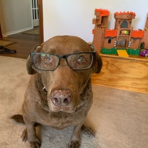 Meet your Posher, Alice